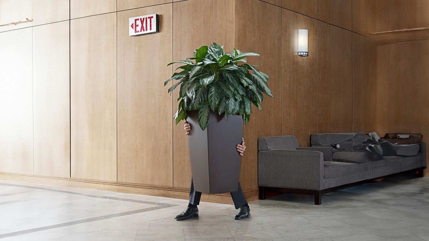 Ein Mitarbeiter schleicht sich hinter einer Palme aus dem Büro