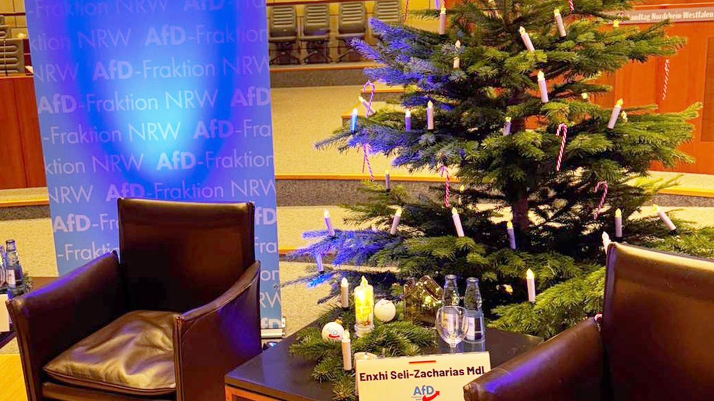 Der umstrittene Weihnachtsbaum im Plenarsaal des Landtags Foto: --/AfD Fraktion/dpa