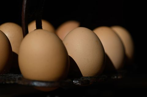 In Möglingen wurden auch Häuser mit Eiern beworfen. (Symbolbild) Foto: Robert Michael/dpa