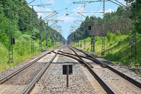In Brandenburg steht die Reaktivierung alter Bahnstrecken zur Debatte. (Archivbild) Foto: Patrick Pleul/dpa