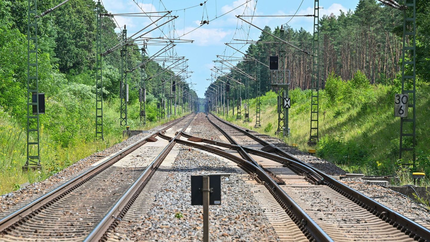 In Brandenburg steht die Reaktivierung alter Bahnstrecken zur Debatte. (Archivbild) Foto: Patrick Pleul/dpa