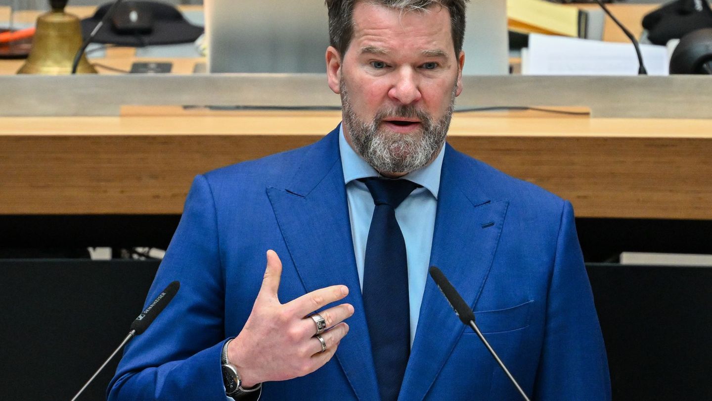 "Das Gesetz ermöglicht keine Enteignungen", sagte der CDU-Fraktionsvorsitzender, Dirk Stettner. (Archivbild) Foto: Soeren Stache