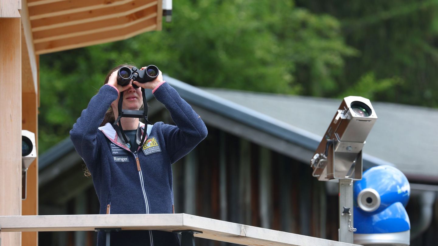Alpen-Naturschutzzentrum-Bayern-stoppt-Modellprojekt-am-Riedberger-Horn