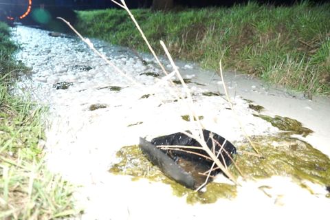 So sieht es aus, wenn sich Tausende Liter Milch auf einer Wiese ergießen. (Archivbild) Foto: -/TeleNewsNetwork/dpa