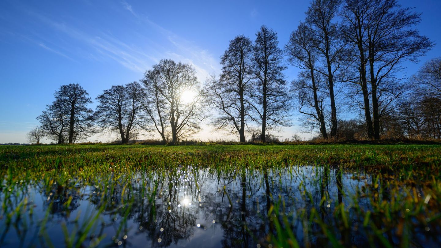 In Brandenburg und Berlin zeigt sich heute und morgen die Sonne. (Archivbild) Foto: Patrick Pleul/dpa