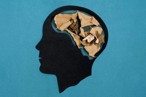 Eine illustrative Darstellung des menschlichen Gehirns (Symbolbild Gedächtnis)