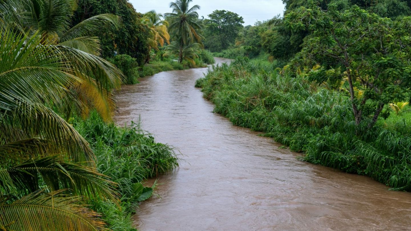 Fluss in Guadeloupe