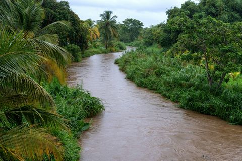 Fluss in Guadeloupe
