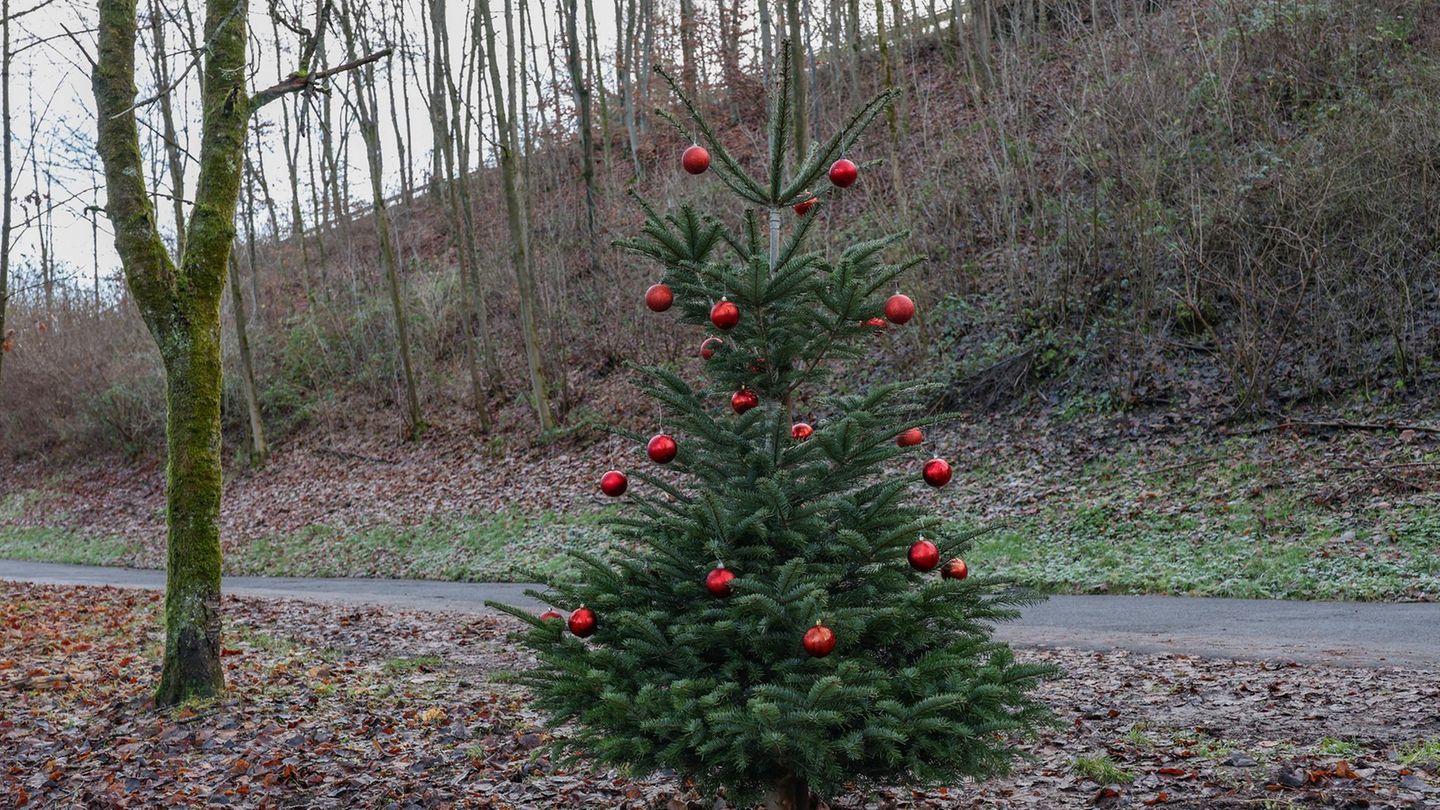 Weiße Weihnacht ist in Deutschland eher die Ausnahme denn die Regel. Schuld daran ist das sogenannte Weihnachtstauwetter, das sich ab Mitte Dezember einstellt. Dass trotzdem der "leise rieselnde Schnee" besungen wird, liegt vermutlich an der "Kleinen Eiszeit". Diese Kälteperiode endete Mitte des 19. Jahrhundert, zu der Zeit, als sich heute bekannte Weihnachtskultur zu entwickeln begann