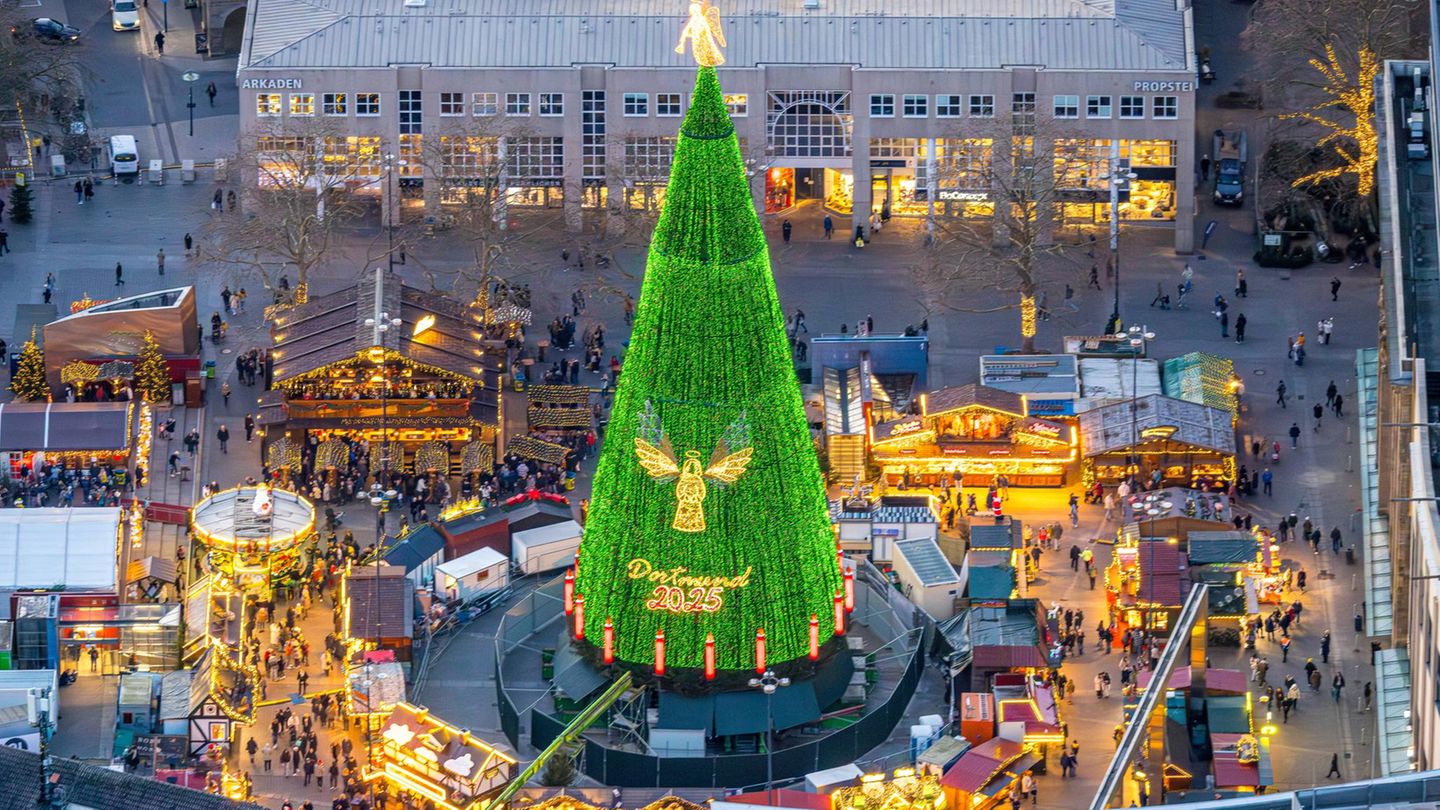 Die größten Weihnachtsbäume der Welt stehen in: Dortmund (im Bild. Höchster natürlicher Baum, 45 Meter), Botafogo-Bucht, Rio de Janeiro (höchster künstlicher Baum, 85 m), Gubbio, Italien ("längster" Weihnachtsbaum der Welt, 750 Meter am Hang des Monte Ingino)