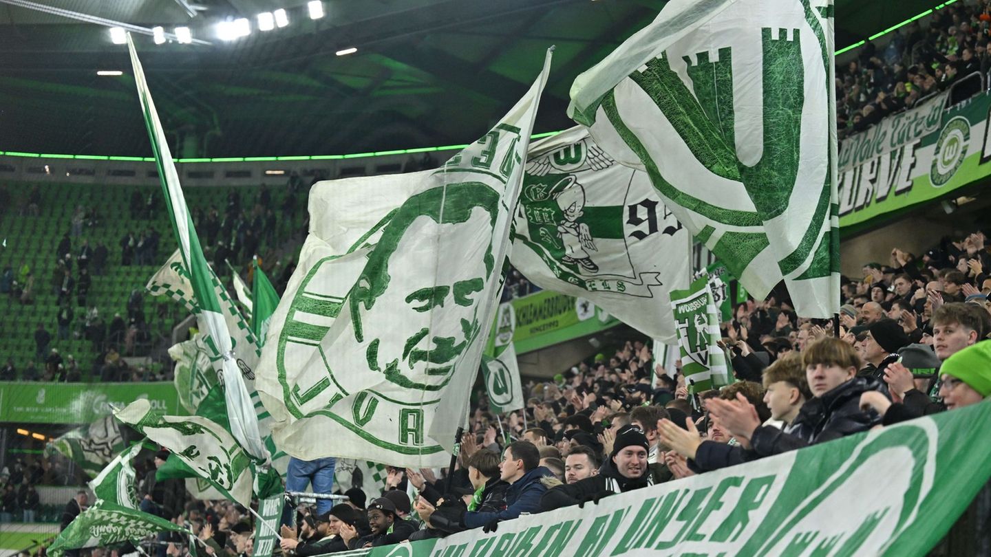 Fans des VfL Wolfsburg. (Archiv) Foto: Swen Pförtner/dpa