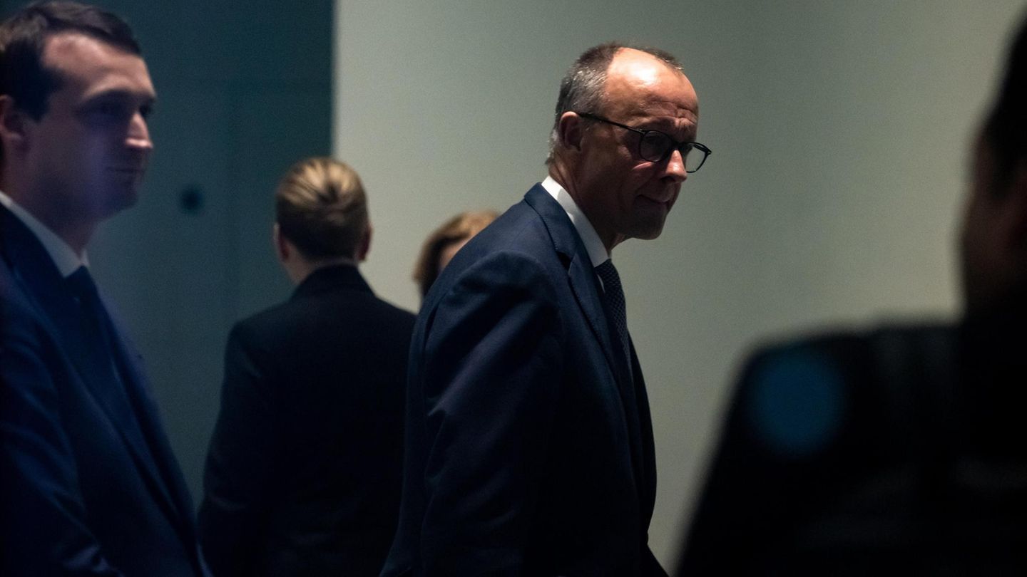 Friedrich Merz im Halbschatten