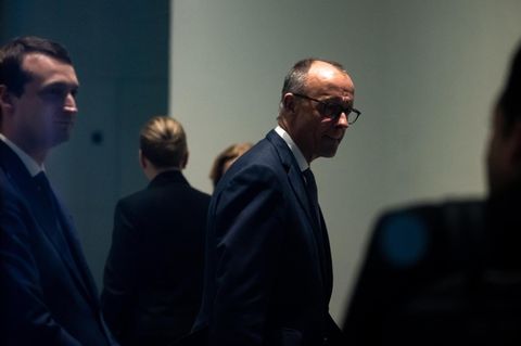 Friedrich Merz im Halbschatten