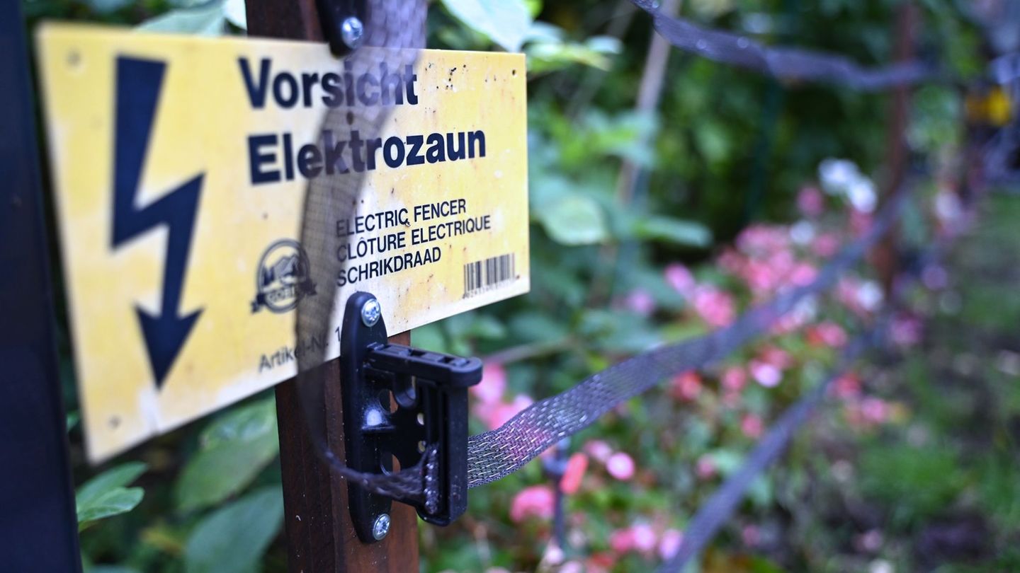 Wildschweine durchwühlen in Kleinmachnow Vorgärten und hinterlassen Schäden. Zum Schutz haben Anwohner Zäune aufgebaut. (Archivb