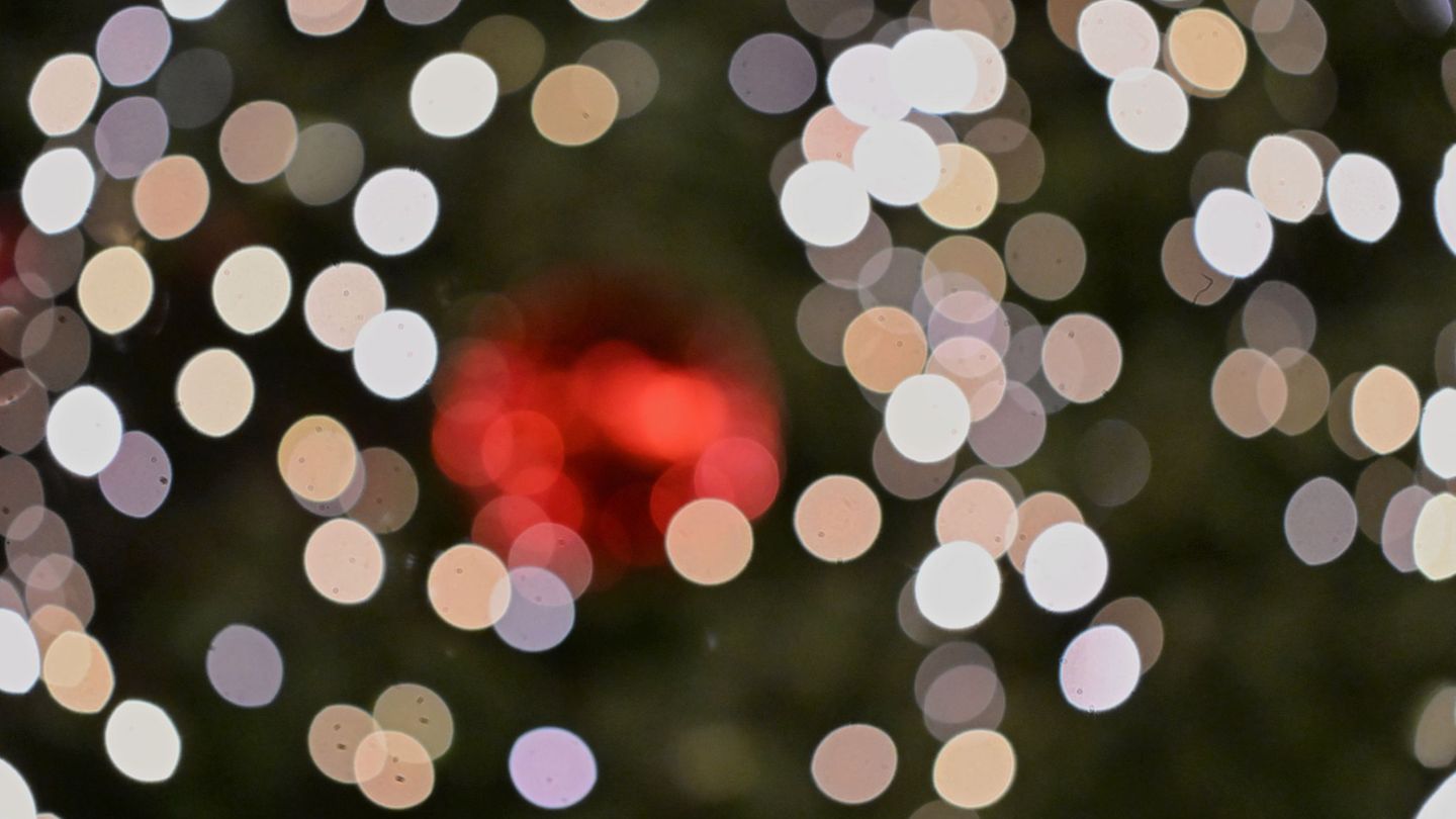 Für eine Geschichte wie aus einem Weihnachtsfilm sorgte ein Weihnachtsbaum-Dieb im Unterallgäu. (Symbolbild) Foto: Jennifer Brüc