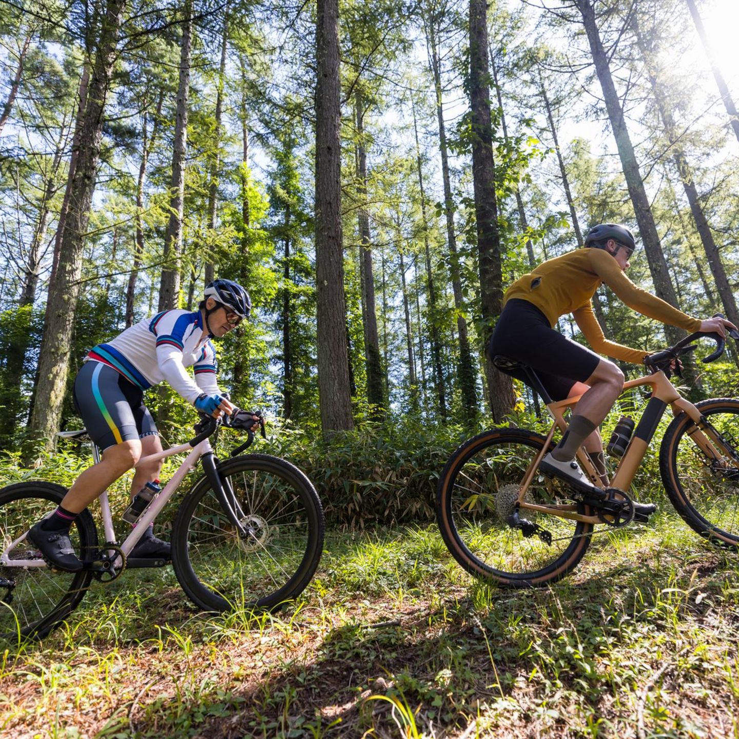 fahrrad gebraucht flensburg Schauff Tandem Flensburg Fahrrad kaufen  Preis fr 2-Personen-Bike  FADU  BIKE Store