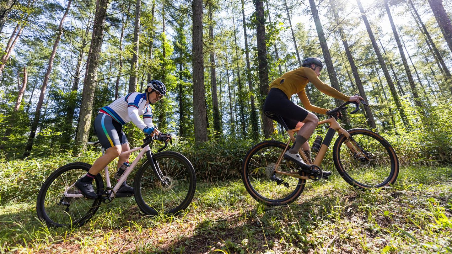 Gravelbike Schuhe: Grvaelbiker in einem Anstieg im Wald