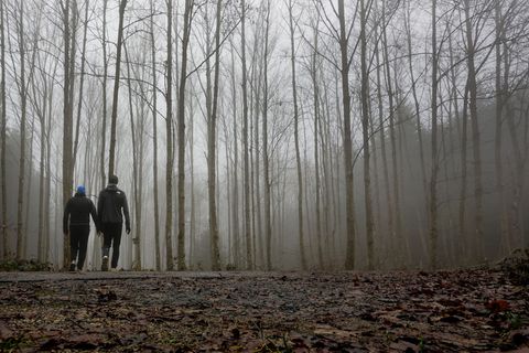 Der Winter lässt noch auf sich warten - die Temperaturen bleiben vorerst mild. (Symbolbild) Foto: Thomas Warnack/dpa