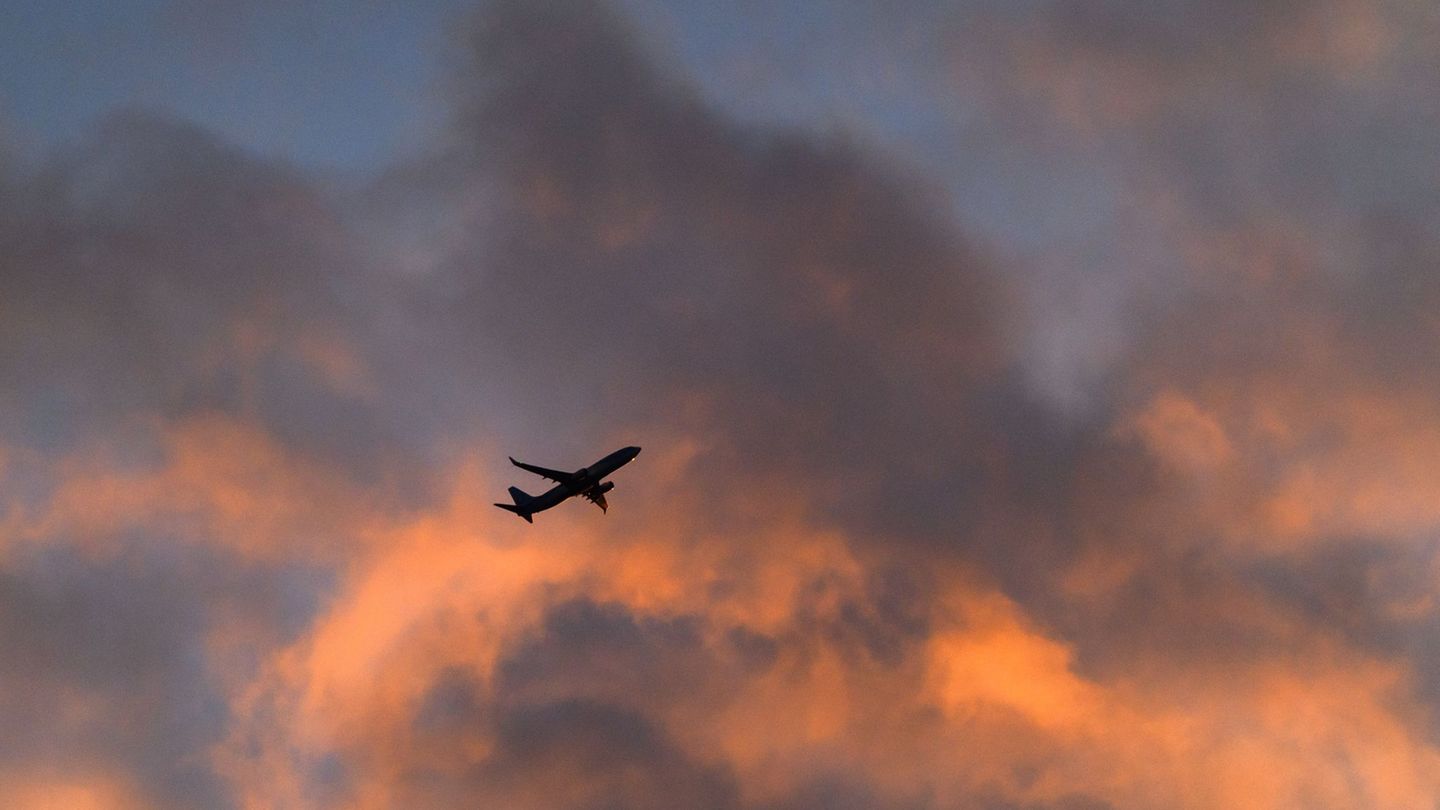 Mit einem zusätzlichen Flugzeug in Hannover will Tui sein Angebot erweitern. (Archivbild) Foto: Julian Stratenschulte/dpa