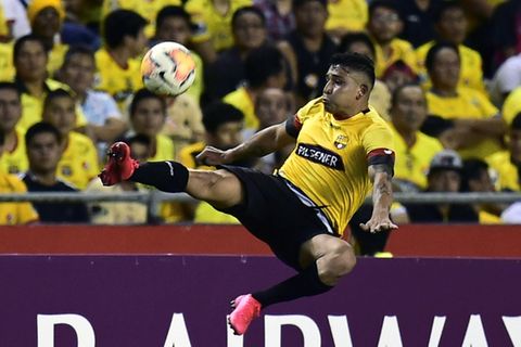 Der ecuadorianische Fußballprofi Mario Pineida