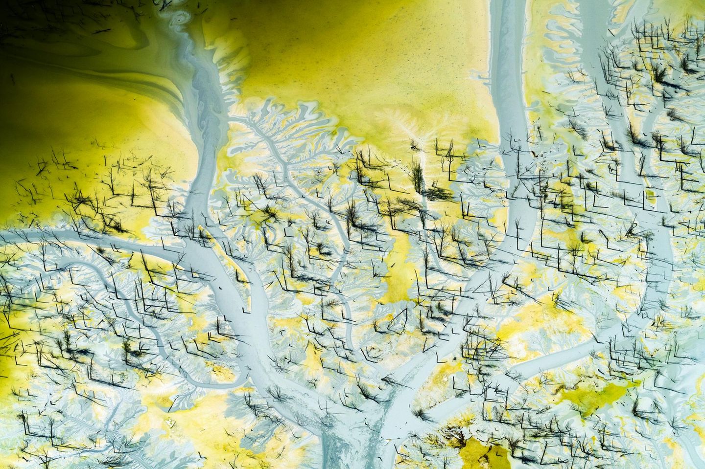 Phosphat ist einer von drei Makronährstoffen, die für das Pflanzenwachstum notwendig sind. Das Angebot ist begrenzt, und die Vorkommen befinden sich nur an wenigen Orten. Doch in der Umwelt – hier im County Jasper, Indiana – kann es große Schäden anrichten. Gelangt es von den Feldern in Bäche und Flüsse, verursacht es Algenblüten und Sauerstoffmangel. Und zerstört so ganze Ökosysteme