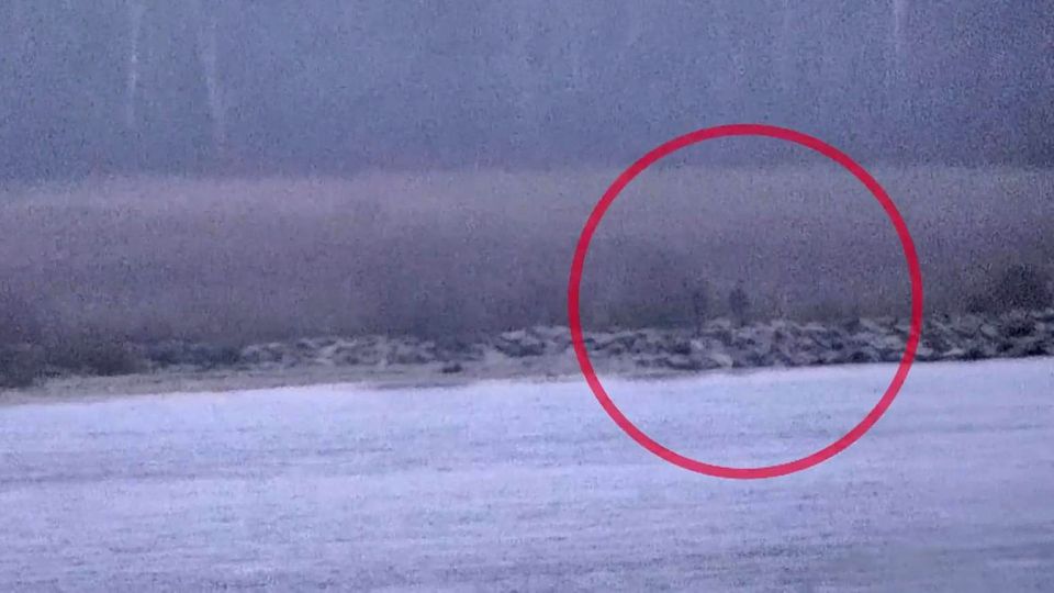 Estland: Video soll Grenzübertritt von russischen Beamten zeigen