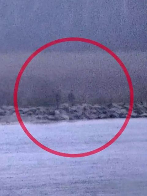 Estland: Video soll Grenzübertritt von russischen Beamten zeigen