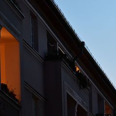 Auf der Suche nach einer neuen Wohnung bewarb sich eine Frau 2022 per Internetformular auf ein Inserat. Foto: Sebastian Gollnow/