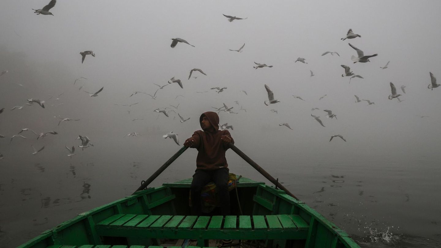 Neu-Delhi, Indien. Was auf den ersten Blick wie eine verträumte Ruderboot-Tour im Nebel aussieht, ist in Wahrheit eine ökologische Katastrophe. In der indischen Hauptstadt herrscht dichter Smog, so stark wie noch nie. Die Bewohner sind die kontinuierliche, besonders im Winter auftretende Naturkatastrophe gewöhnt, was es aber nicht besser macht