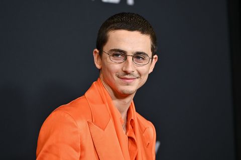 Timothée Chalamet bei der Premiere seines neuen Films "Marty Supreme". Foto: Evan Agostini/Invision/AP/dpa