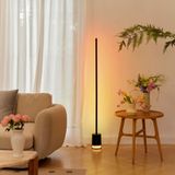 Govee Floor Lamp 2