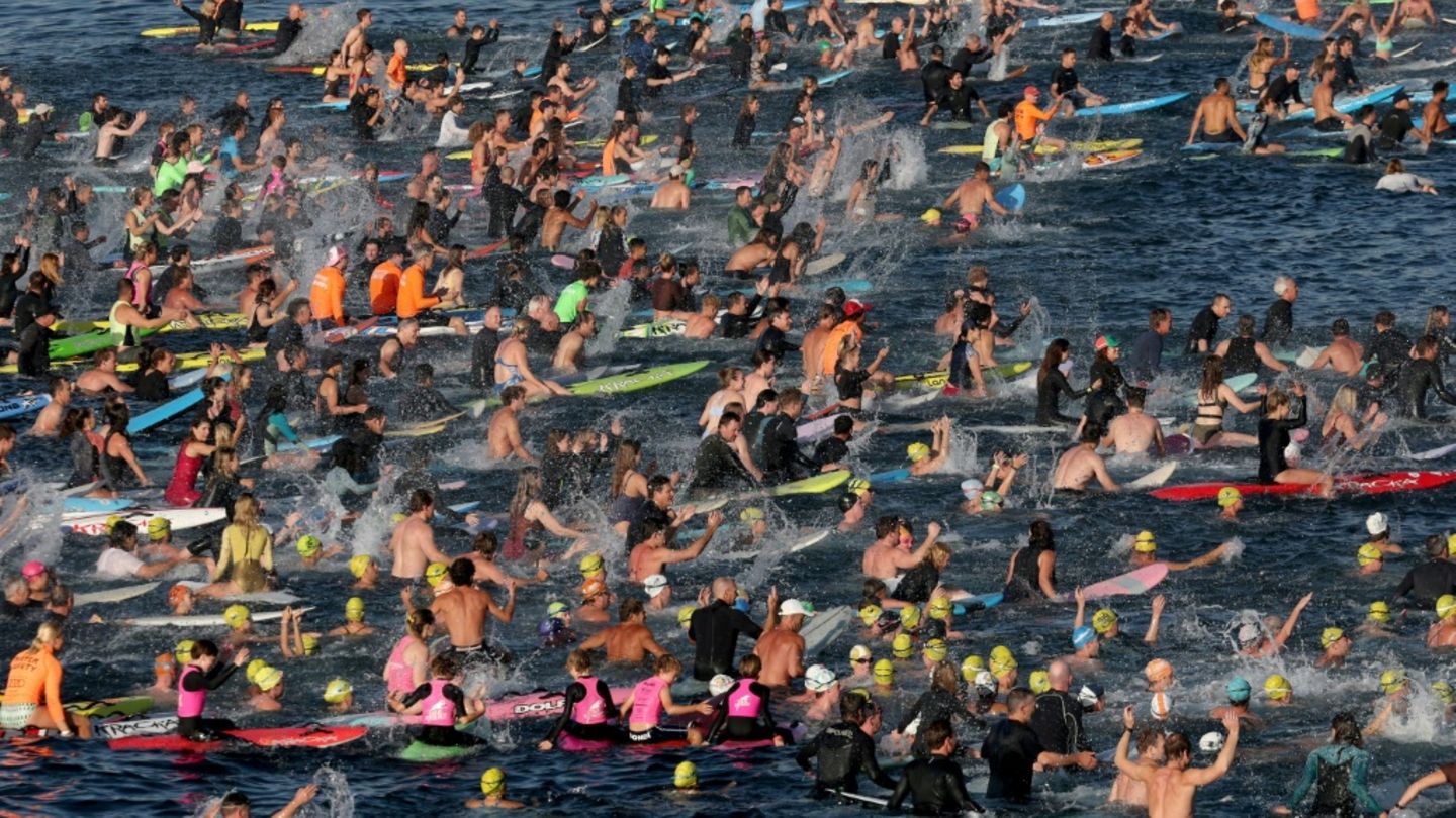 Schwimmer und Surfer am Bondi Beach