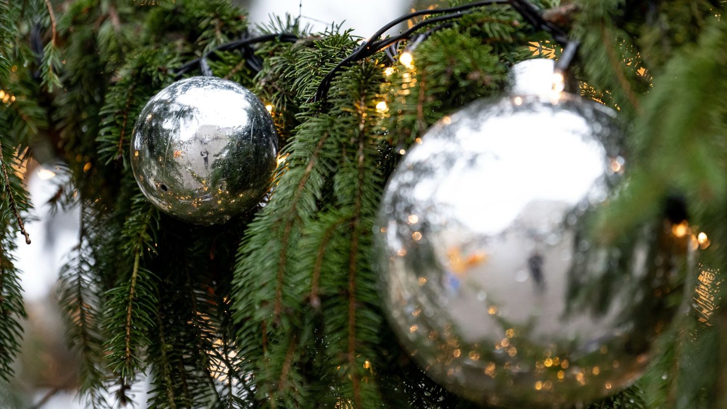 In der Nacht haben Unbekannte den Weihnachtsbaum der Stadt zu Fall gebracht. (Symbolfoto) Foto: Fabian Sommer/dpa