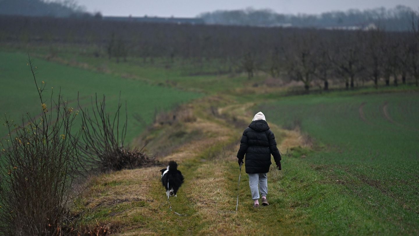 Wetter zum Ende der Woche: Wolken und Regen in Rheinland-Pfalz und dem Saarland