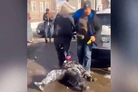 ICE-Agenten schleifen schwangere Frau über Straße