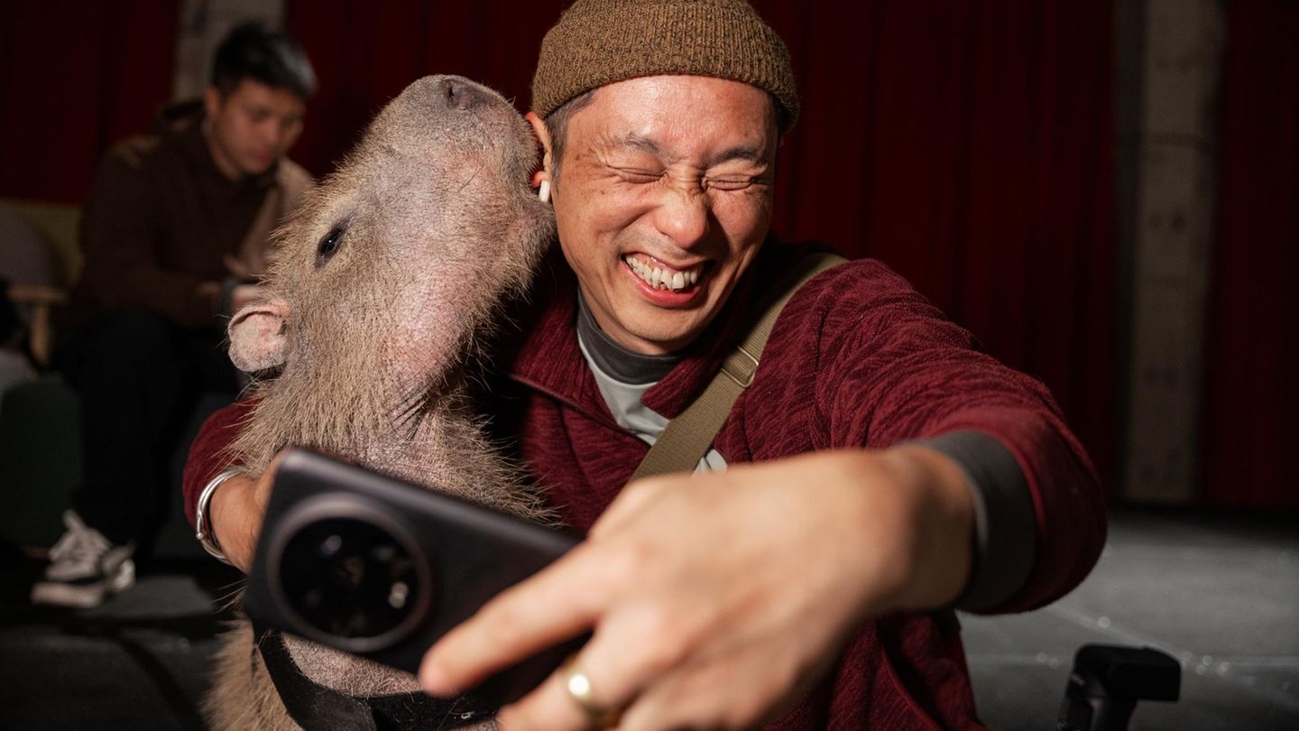 Chinesische Tierliebe: "Sie geben einem die Liebe, die man als Kind nie bekommen hat"