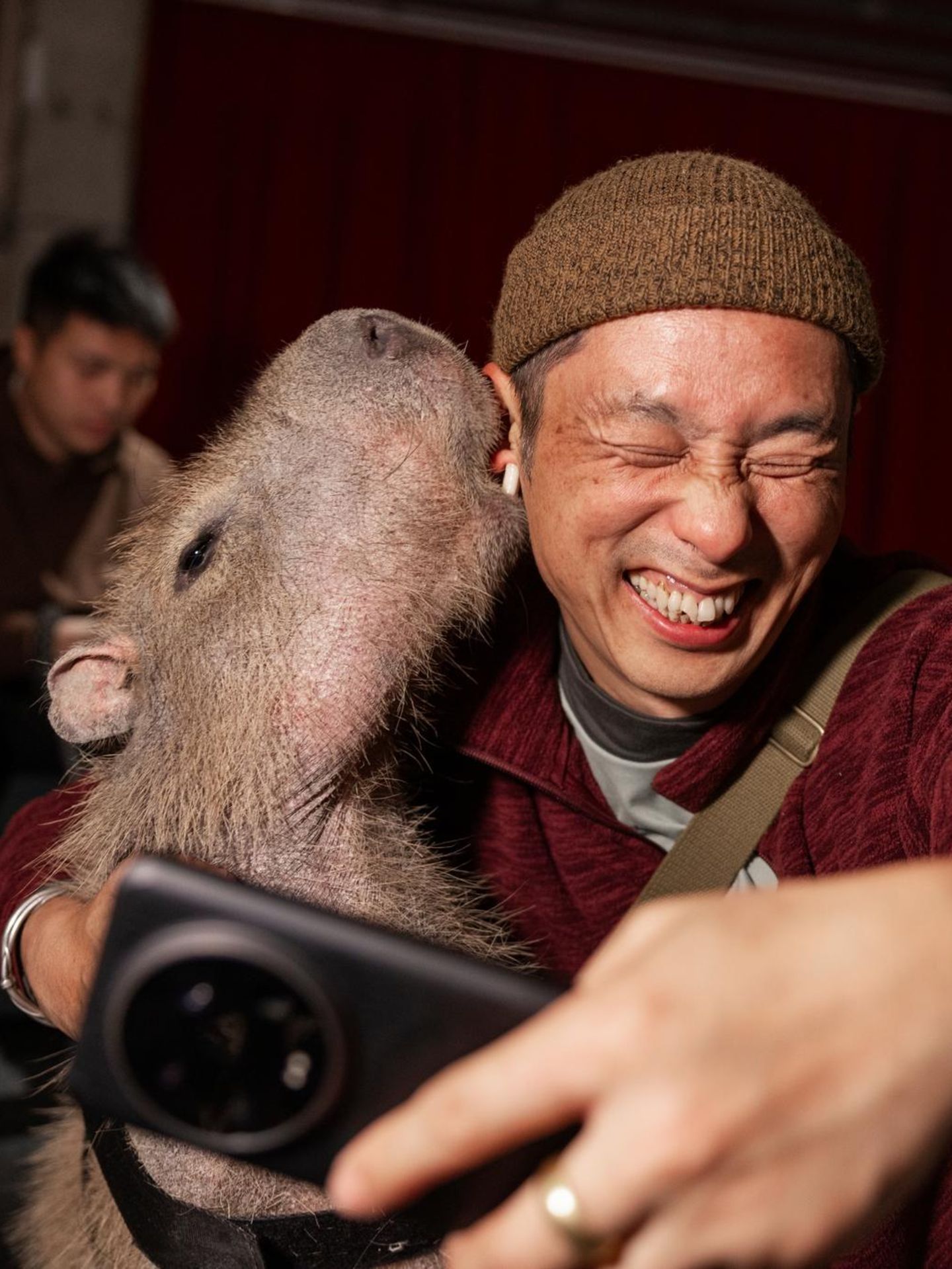 China Wasserschwein Pumpkin