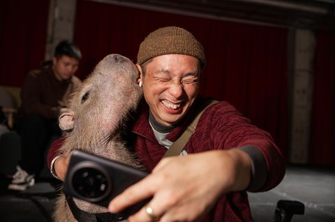 China Wasserschwein Pumpkin