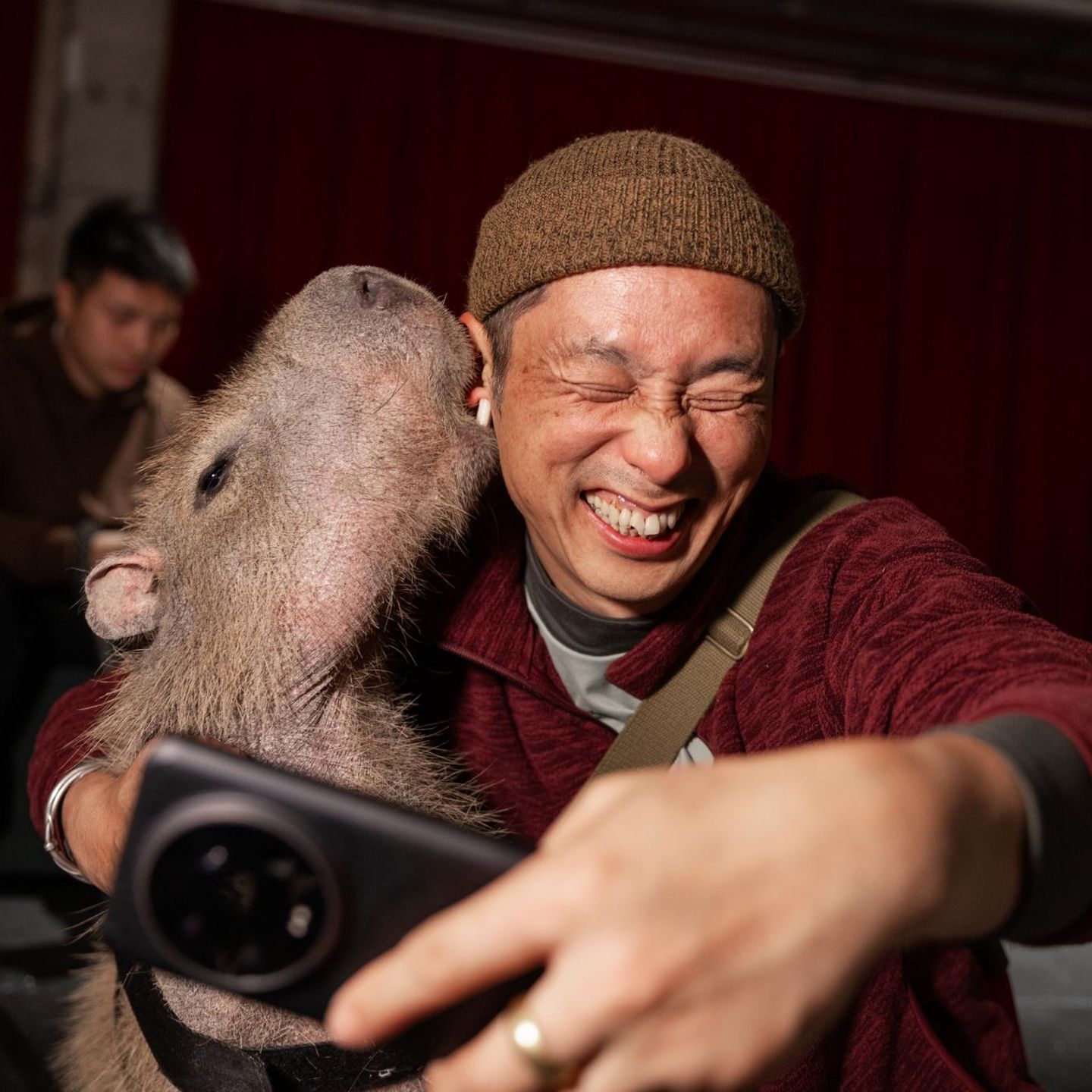 China Wasserschwein Pumpkin
