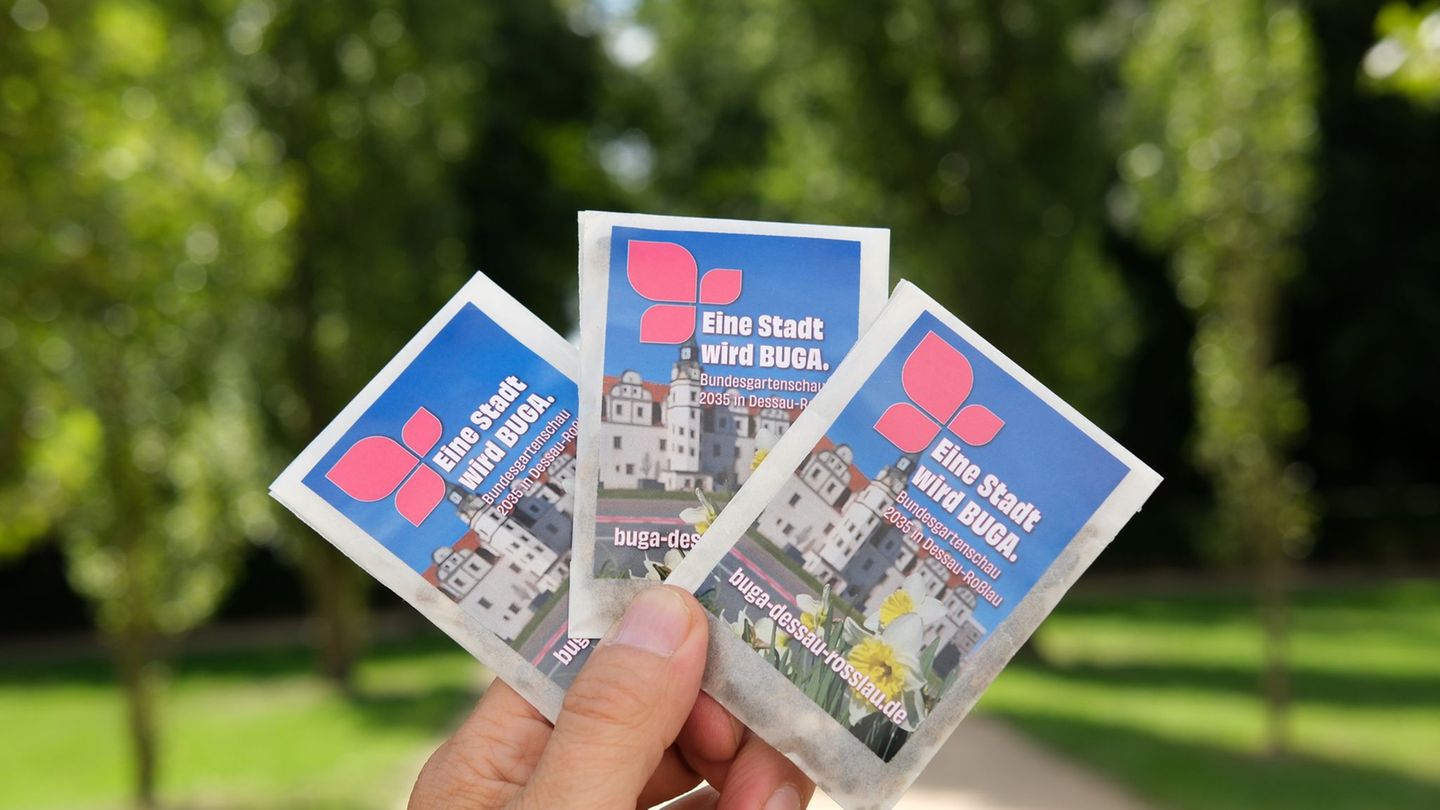 2035 soll in Dessau-Roßlau die Bundesgartenschau veranstaltet werden. (Archivbild) Foto: Sebastian Willnow/dpa