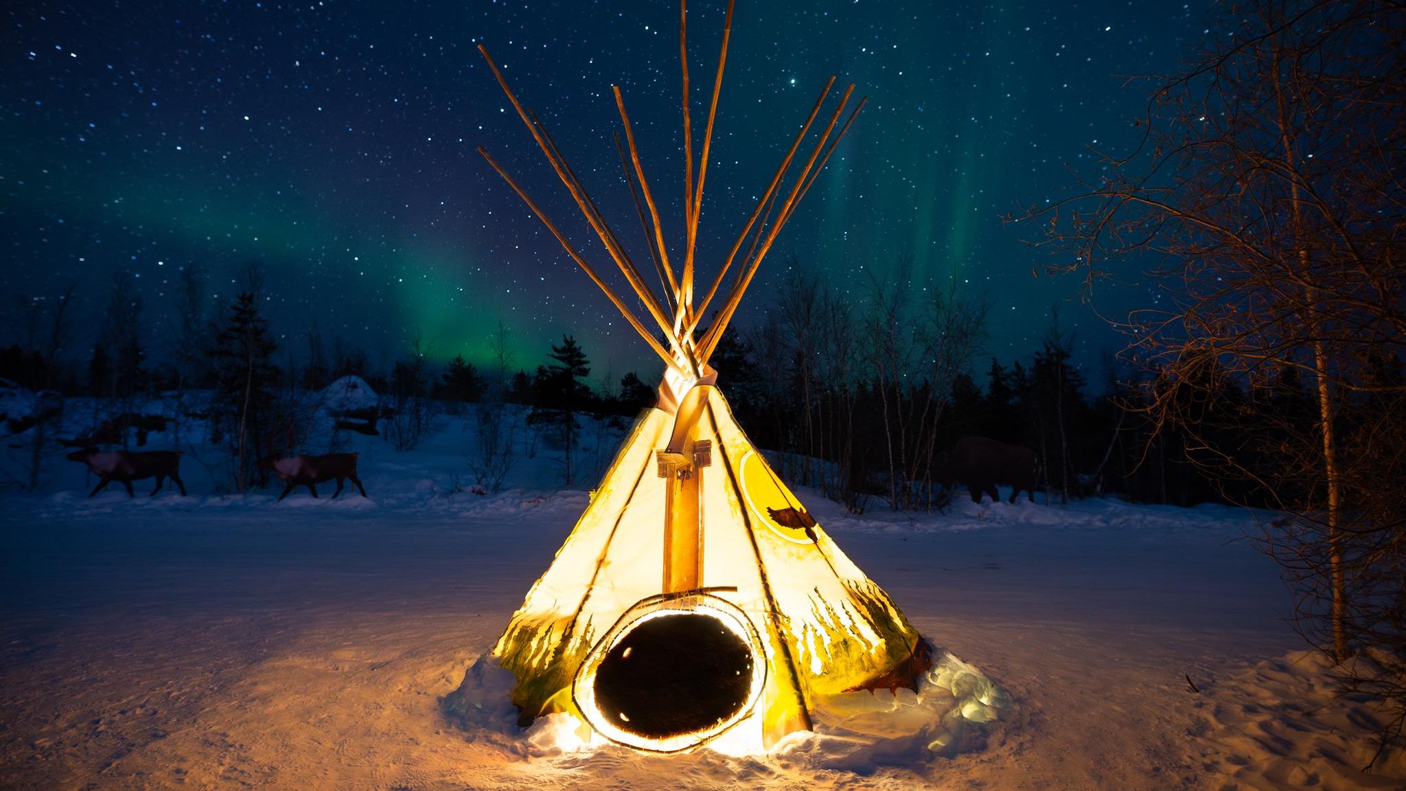 Himmelszelt über Yellowknife, Ein Zelt leuchtet, im Himmel sieht man Polarlichter und Sterne