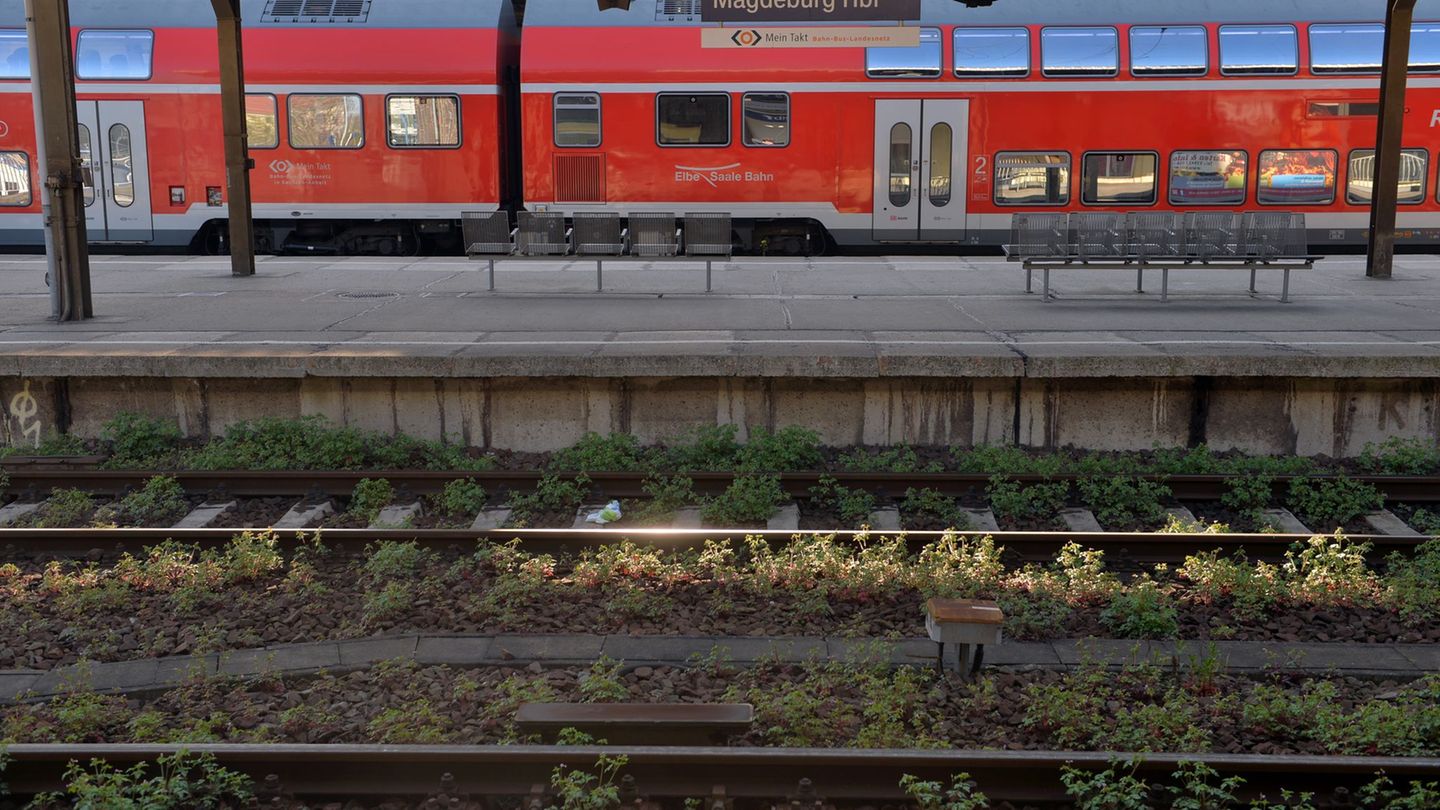 Gemischte Bilanz im Nahverkehr: Trotz Rekordnutzung: Ministerin kritisiert Qualität im ÖPNV