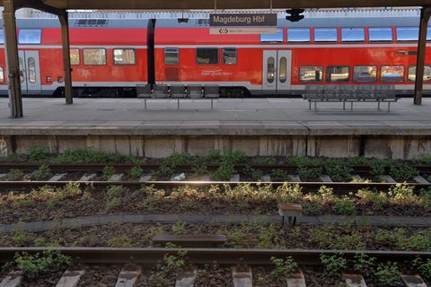 Auf der einen Seite eine Rekordnachfrage - auf der anderen Seite sieht Infrastrukturministerin Hüskens (FDP) Qualitätsmängel. (S