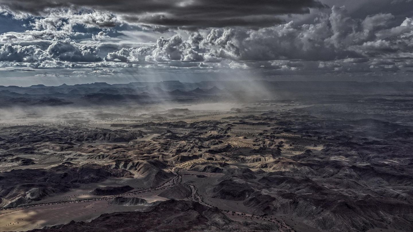 Noch durchbrechen einzelne Sonnenstrahlen die dichter werdende Wolkendecke und bestrahlen wie mit Scheinwerfern die karge, dystopisch anmutende Landschaft des namibischen Trockentals Huab. In ihrem Licht wirbelt der Staub eines aufziehenden Sandsturms. Er kündigt das sehnlich erwartete Gewitter an, das die ausgedörrte Landschaft mit seinem Regen zum Leben erwecken und die ausgetrockneten Flusstäler vorübergehend mit Wasser füllen wird. In der Regenzeit im Januar und Februar tummeln sich dann Wüstenelefanten und Nashörner am Ufer der Riviere – so nennt man in Namibia Flüsse, die nur zeitweise Wasser führen. Um sie herum werden Gräser, Kräuter und Wildblumen sprießen, deren Samen monate- oder gar jahrelang in der Erde schlummerten und auf ihren Einsatz warteten