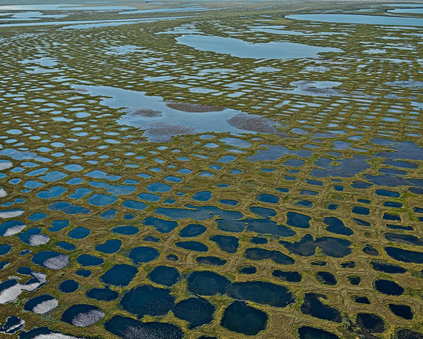 Wenn das Lenadelta von einem feingliedrigen grünen Raster überzogen wird, in dem sich Seen aus Schmelzwasser bilden, dann ist es offensichtlich: Der Permafrost schmilzt, auch in Nordosten Sibiriens. In den kurzen arktischen Sommern tauen die Permafrostböden der Arktis immer weiter auf – mit verheerenden Folgen: Zuvor jahrhundertelang eingefrorene Tier- und Pflanzenreste werden von Mikroorganismen zersetzt, die dabei Kohlendioxid und das noch klimaschädlichere Methan freisetzen. So heizt das Tauwetter die Erderwärmung an, die dann in Sibirien vor allem für eines sorgt: noch mehr tauenden Permafrost. Der feuert den Klimawandel zusätzlich durch den Albedo-Effekt an: Dunkle Oberflächen wie Pflanzen und Wasser reflektieren weniger Sonnenstrahlen in die Atmosphäre als helle Oberflächen aus Schnee und Eis es tun