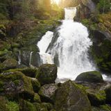 Einmal durch den Schwarzwald
