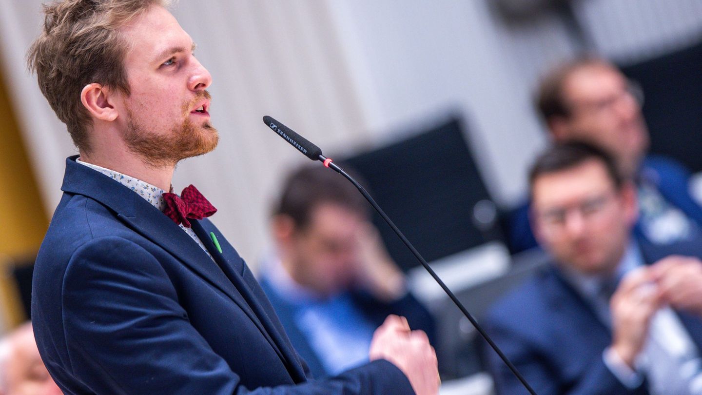 Ausschluss im Landtag: Grüne schließen Abgeordneten Damm aus Landtagsfraktion aus