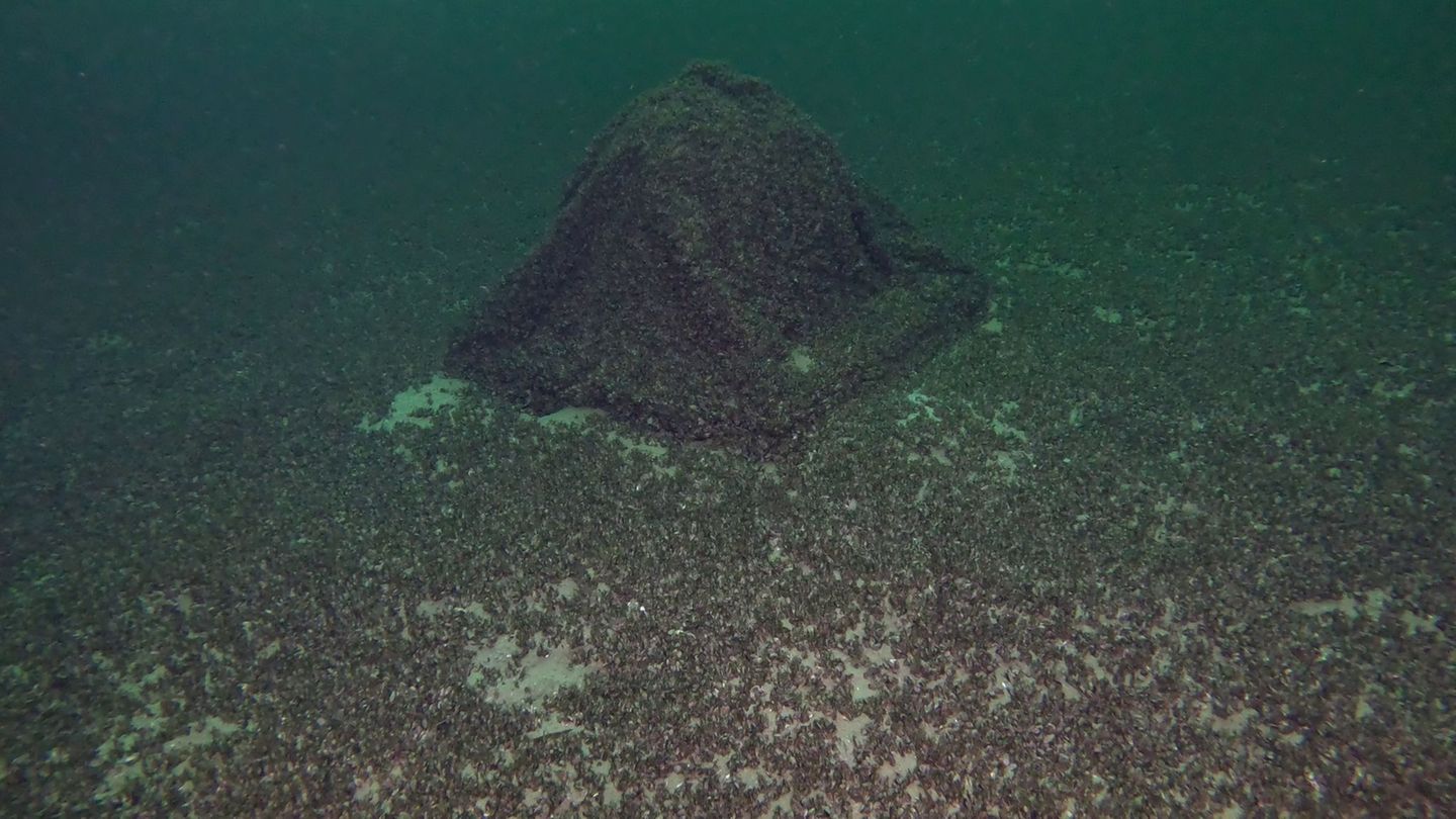 Aufgetaucht-Vermisste-Kugel-mit-Gin-im-Bodensee-gefunden