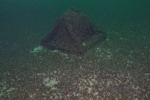 Die Kugel war auf den ersten Blick nicht zu erkennen. Foto: -/Schiffbergeverein/dpa