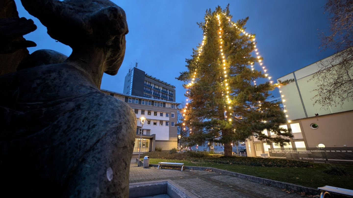Die Lichterketten sind inzwischen zu klein für den Baum. Foto: Stefan Rampfel/dpa